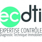 logo ECDTI