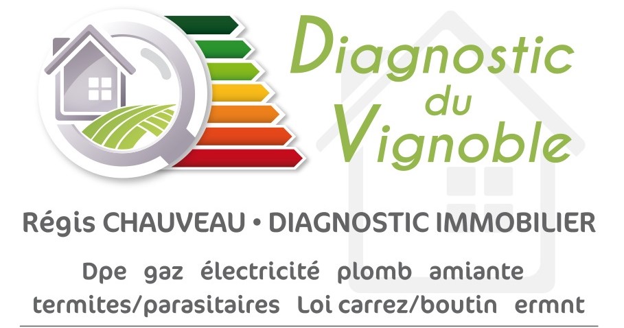 logo DIAGNOSTIC DU VIGNOBLE