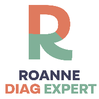 logo ROANNE DIAG EXPERT