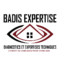 logo BADIS EXPERTISE