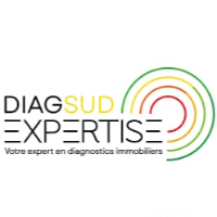 logo DIAG SUD EXPERTISE