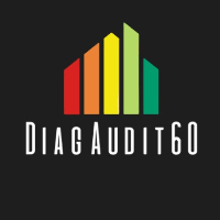 logo DIAG AUDIT 60