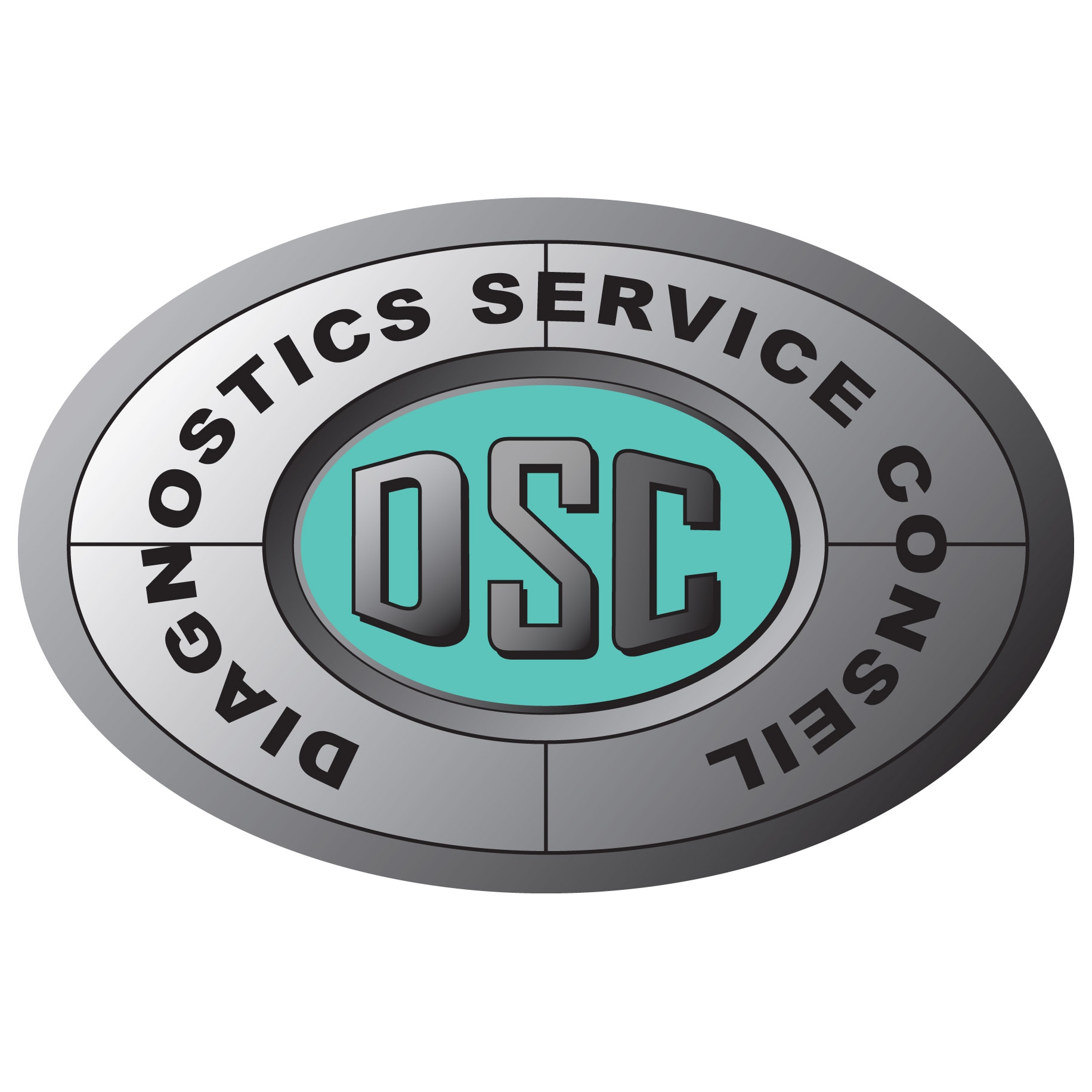 logo D.S.C. (DIAGNOSTICS SERVICE CONSEIL)