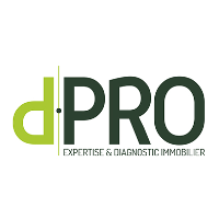 logo D.Pro Paris SUD