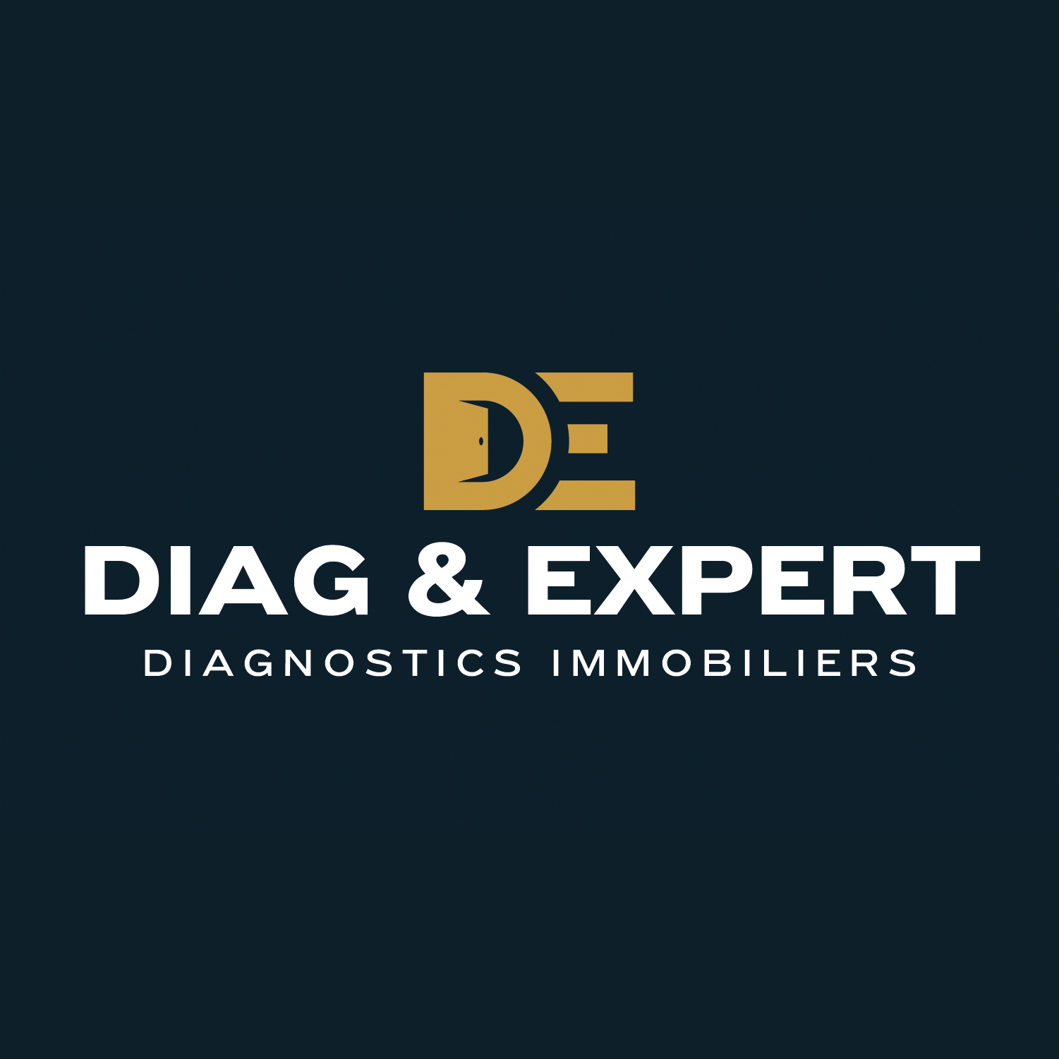 logo Diag & Expert 