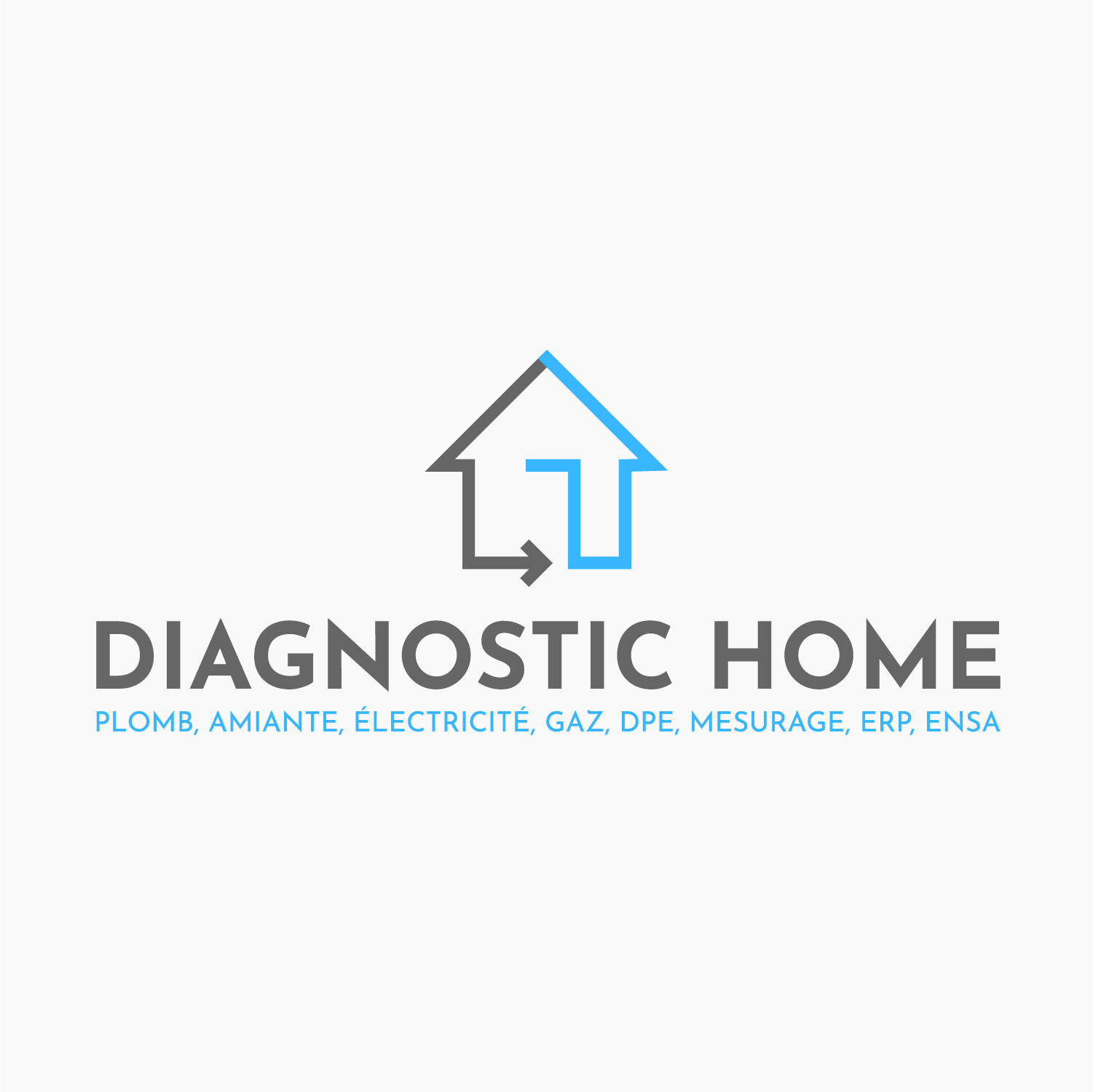 logo Diagnostic Home