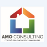 logo AMO CONSULTING