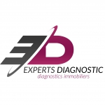 logo EXPERTS DIAGNOSTIC