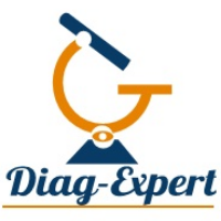 logo DIAG-EXPERT