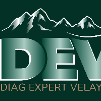 logo Diag' expert velay