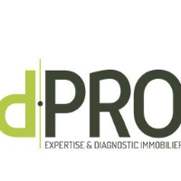 logo D.Pro LES AVENIERES