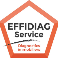 logo EFFIDIAG SERVICE