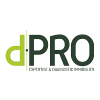 logo d.PRO Tours