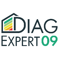 logo DiagExpert 09