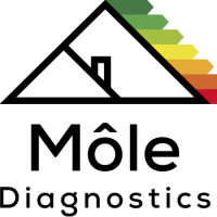 logo MôLE DIAGNOSTICS
