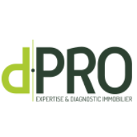 logo D.Pro YVETOT - FÉCAMP