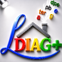 logo LDIAG +