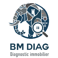 logo BM DIAG