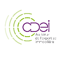 logo CDEI