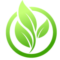 logo DOMUS Diagnostics Immobiliers