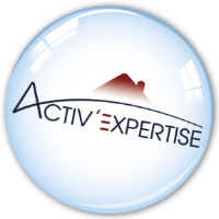 logo Activ’Expertise Sarzeau Elven
