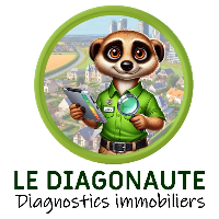 logo LE DIAGONAUTE