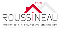 logo SARLU Dominique ROUSSINEAU 