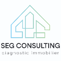 logo SEG Consulting