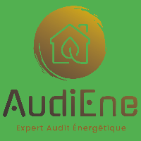 logo AudiEne